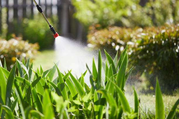 24/7 Emergency Mosquito Control experts in Brookhaven, MS