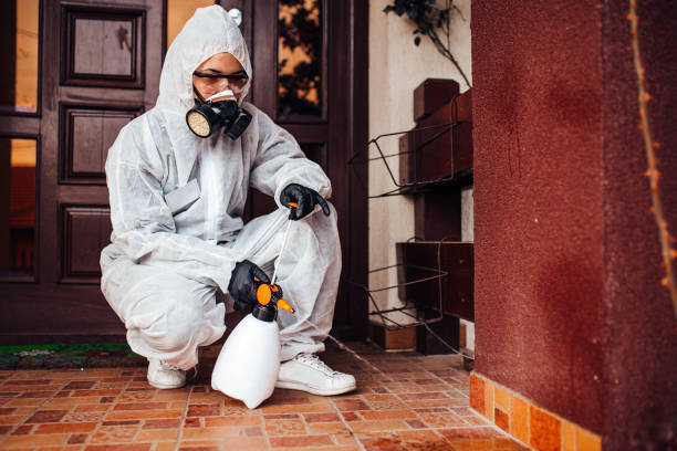 Reliable Mosquito Control contractor in Brookhaven, MS by Show Me Pest Control
