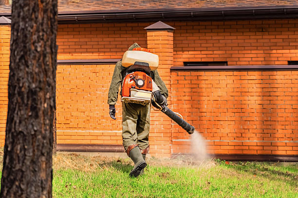 Top rated local Mosquito Control specialists in Brookhaven, MS